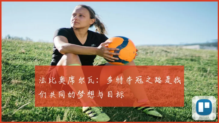 法比奥席尔瓦：多特夺冠之路是我们共同的梦想与目标